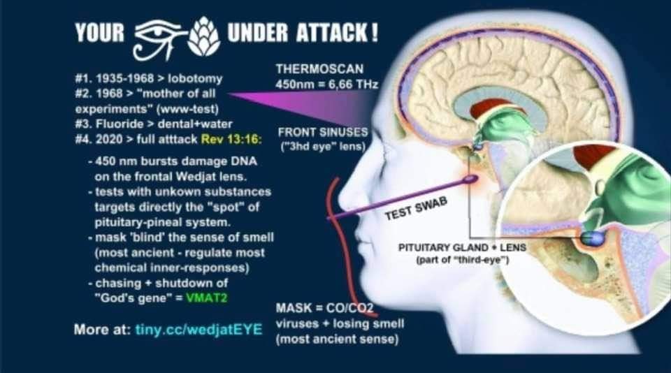 Medical & Monetary Fraud Is Being Used to Destroy America