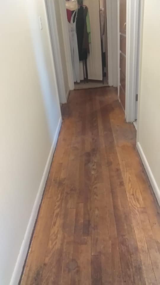 Floor Poly Refinish