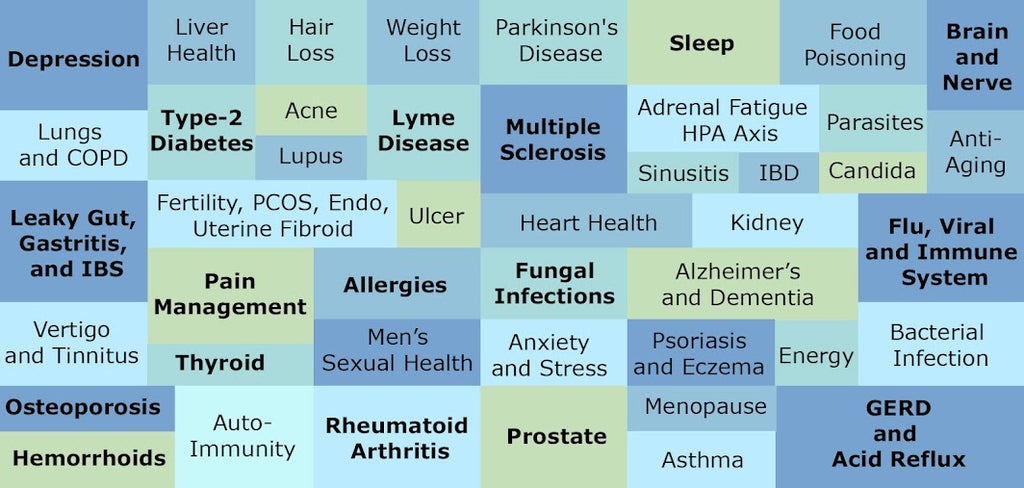 The Holistic Guide to Wellness