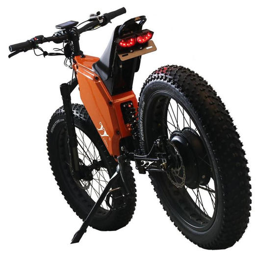 Electric Bicycle