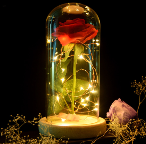 Rose in a glass dome - gocyberbiz.com