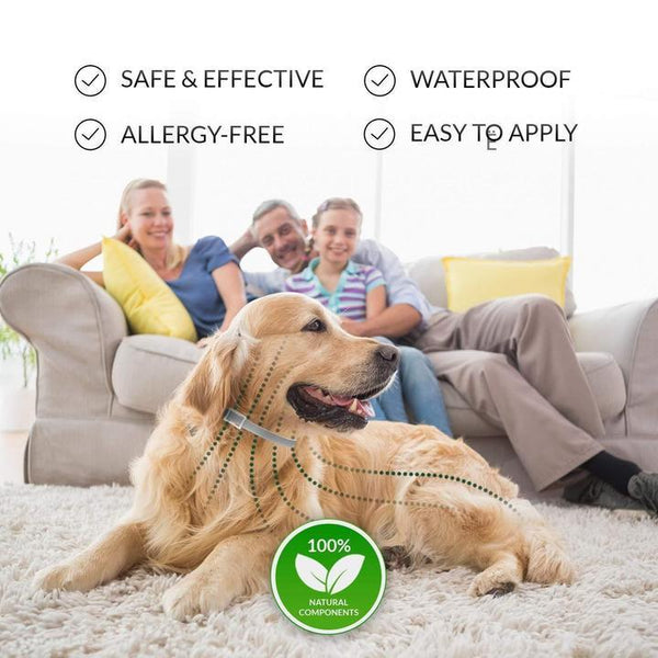 Pro Guard Flea and Tick Pet Collar - gocyberbiz.com