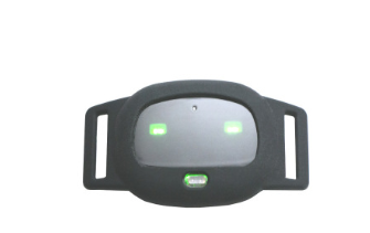 GPS Cat Collar - gocyberbiz.com