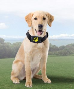 GPS Dog Collar - gocyberbiz.com