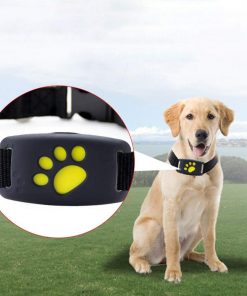 GPS Dog Collar - gocyberbiz.com