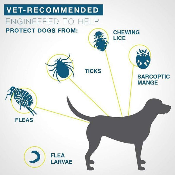 Pro Guard Flea and Tick Pet Collar - gocyberbiz.com