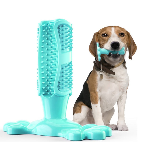 Dog Molar Chew Cleaning Toothbrush - gocyberbiz.com