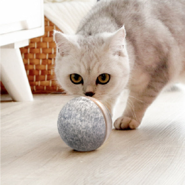 Cheerble Pet Toy Wicked ball 100% Automatic Jump Ball Smart Teaser Cat and Dog Toys Bite-resistant - gocyberbiz.com