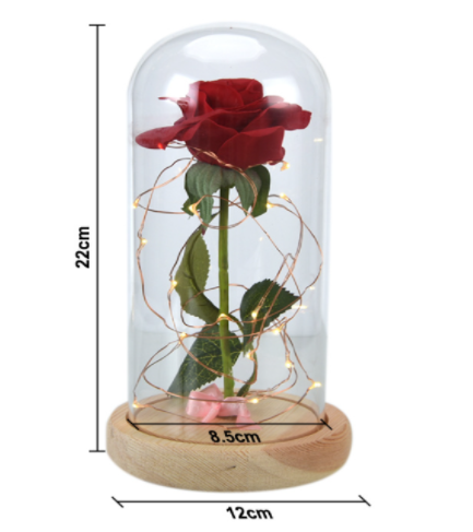 Rose in a glass dome - gocyberbiz.com