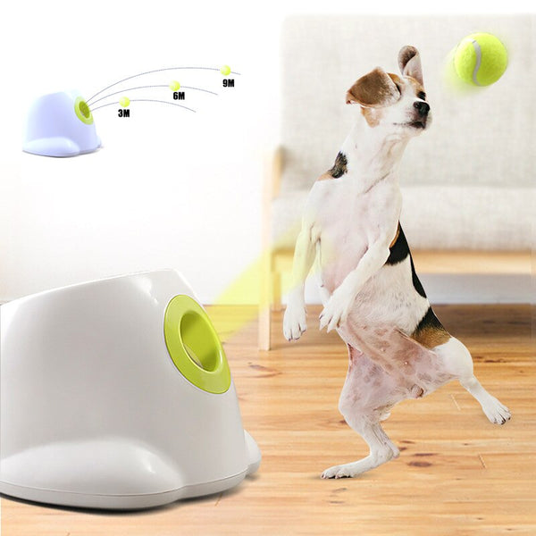 Dog pet Tennis Launcher - gocyberbiz.com