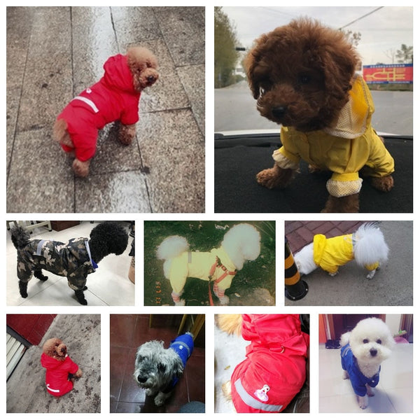 Dog Raincoat - gocyberbiz.com