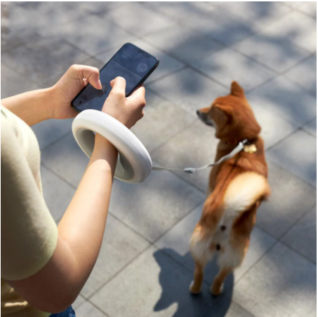Xiaomi MOESTAR UFO 2.6m Retractable Pet Leash - gocyberbiz.com